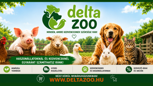 Főoldal