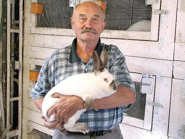 Nyúltenyésztő fehér tenyésznyúllal a nyúlketrecek előtt