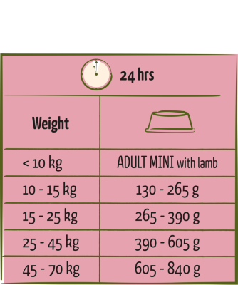 Happy Life Adult Lamb - Változatos kutyaeledel bárány ízesítéssel – élénk felnőtt kutyáknak 2,5 kg