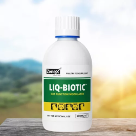 Liq-Biotic hasmenés elleni itatófolyadék 200 ml