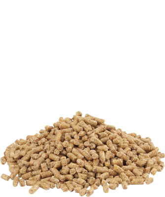 Country's Best DINDO 2.3 pellet - 13 héttől - befejező pulykatáp - kokcidiosztatikum nélkül 20kg
