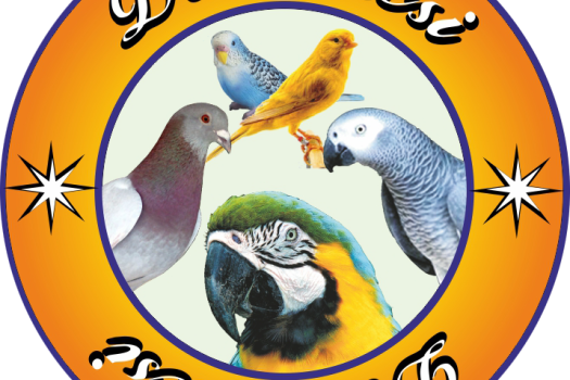 cropped-logo-dafincsi-1.png