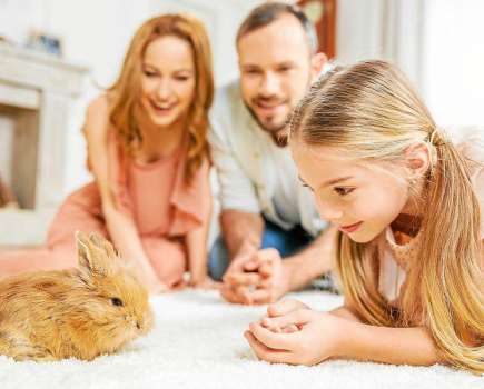Hobbinyúl és tenyésznyúl tartása – Etetés, tartás és gondozás | DeltaZoo