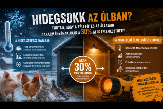 Hidegsokk az ólban: Tudtad, hogy a téli fűtés az állataid takarmányának akár a 30%-át is felemésztheti?